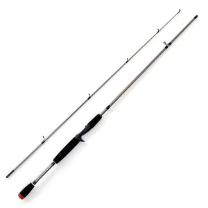 Spinning Casting Fishing Rod
