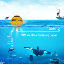 Load image into Gallery viewer, Depth Sounder Fish Finder