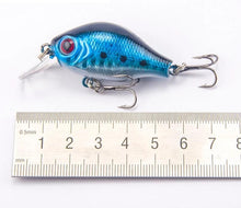 Load image into Gallery viewer, Floating Fishing Lure