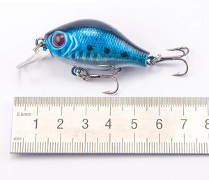 Floating Fishing Lure