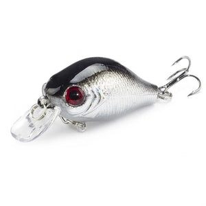 Floating Fishing Lure