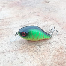 Load image into Gallery viewer, Floating Fishing Lure
