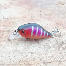 Load image into Gallery viewer, Floating Fishing Lure