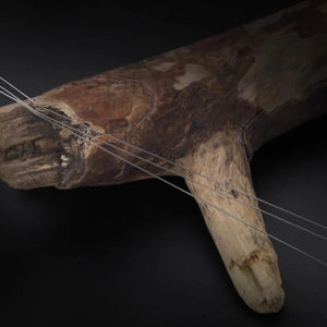 Main Fishing Line