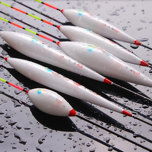 Bold Tail Fish Float
