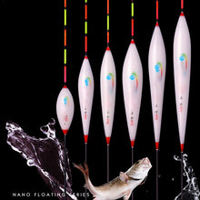 Load image into Gallery viewer, Bold Tail Fish Float