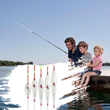 Load image into Gallery viewer, Bold Tail Fish Float