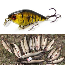Load image into Gallery viewer, Mini Fish Carp Lure