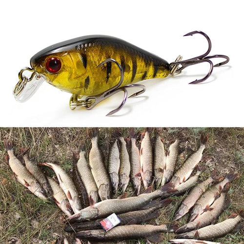 Mini Fish Carp Lure