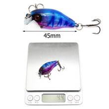 Load image into Gallery viewer, Mini Fish Carp Lure