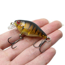 Load image into Gallery viewer, Mini Fish Carp Lure