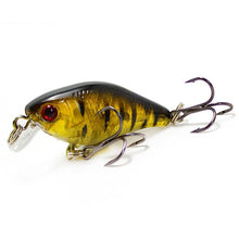 Load image into Gallery viewer, Mini Fish Carp Lure