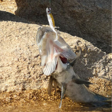 Load image into Gallery viewer, Soft Bait Fishing Sea Bass Lure